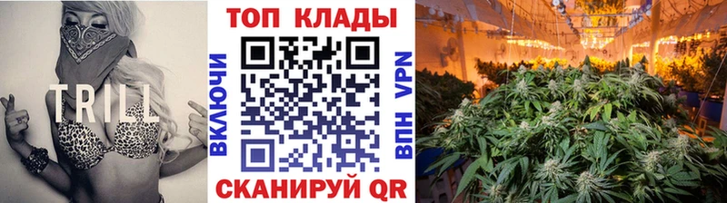 Все наркотики Дмитриев Альфа ПВП  Галлюциногенные грибы  Кокаин  МЕФ 