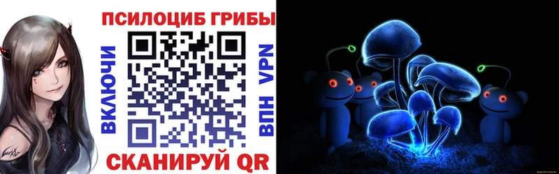 Псилоцибиновые грибы мицелий цены наркотик Дмитриев